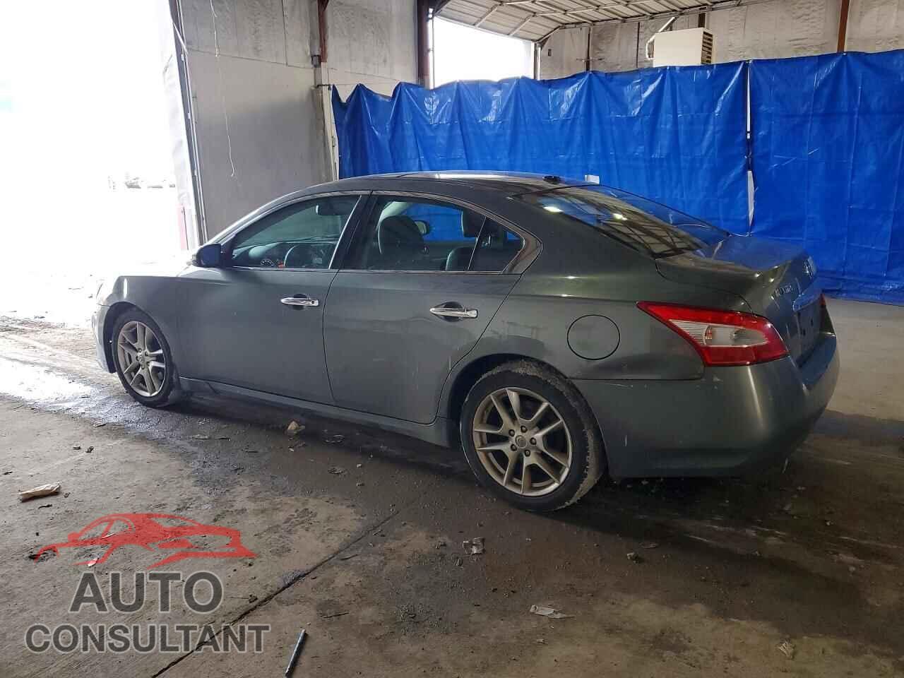 NISSAN MAXIMA 2009 - 1N4AA51E09C812389