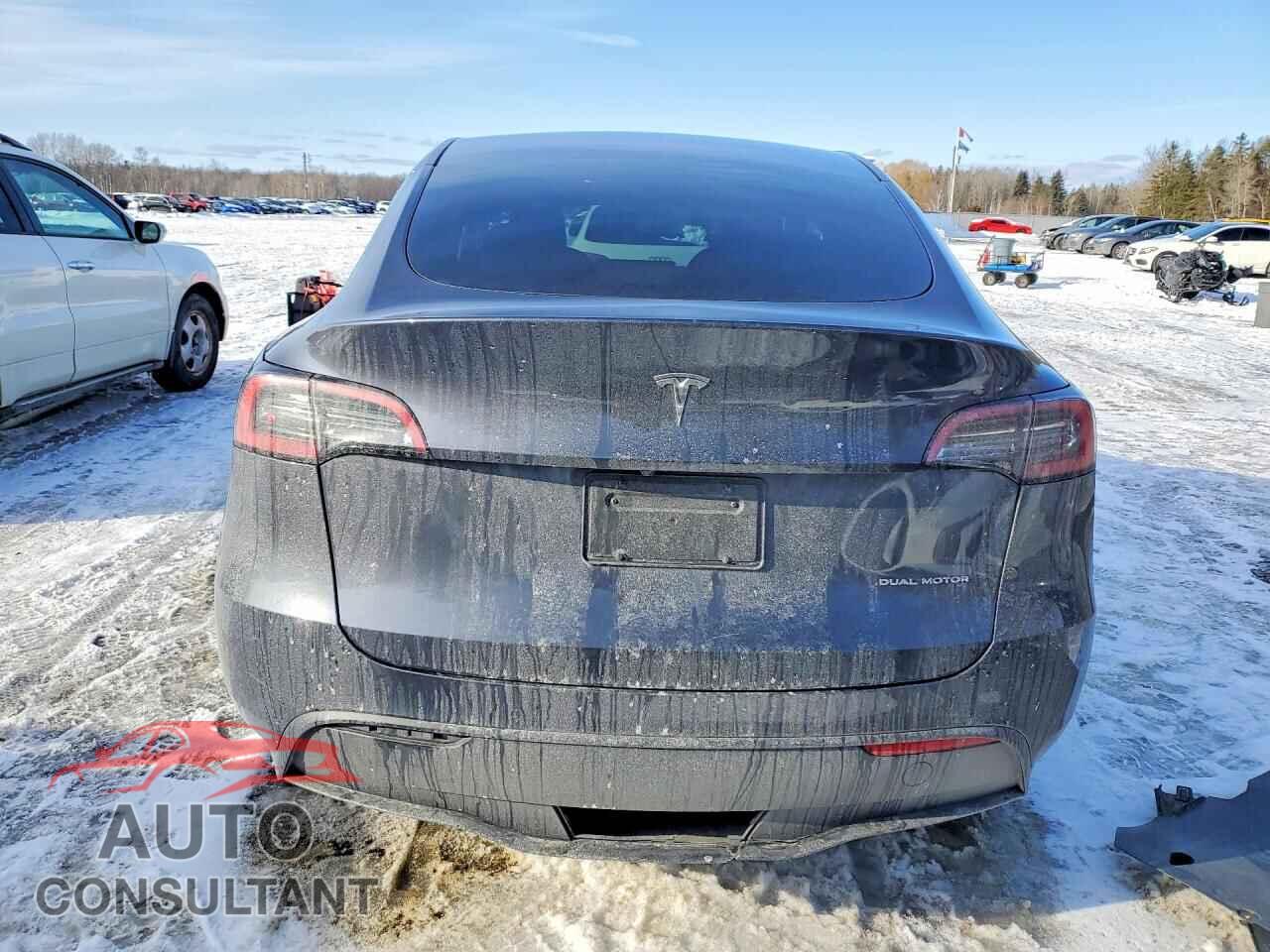 TESLA MODEL Y 2022 - 7SAYGDEEXNF385041