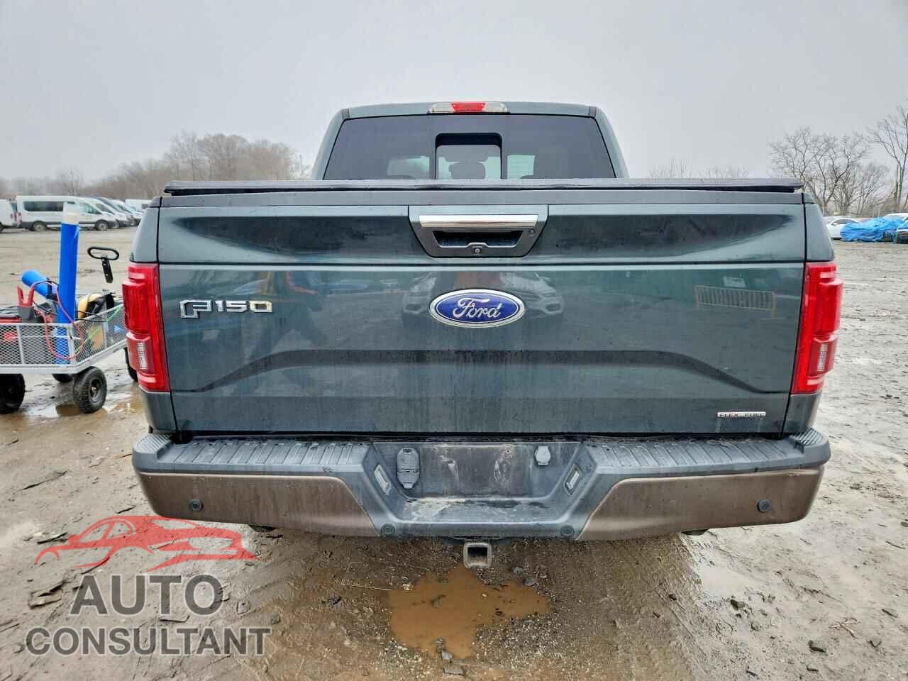 FORD F150 2015 - 1FTEW1EF3FFC84401