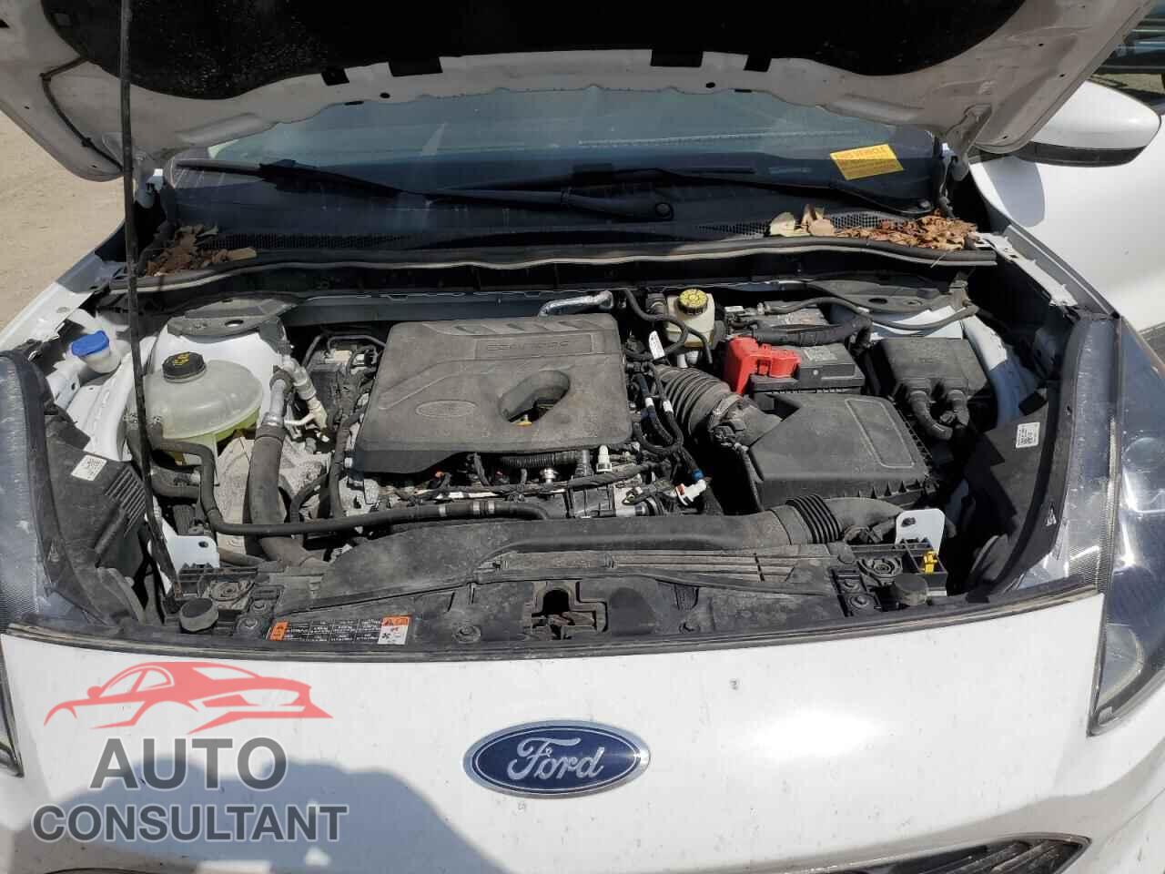 FORD ESCAPE 2020 - 1FMCU9G60LUA53256