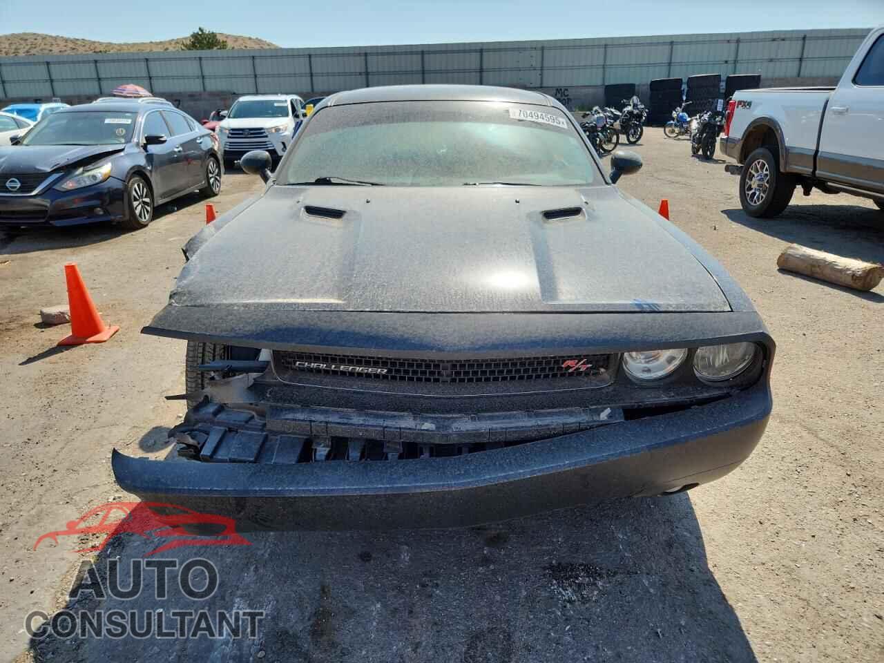 DODGE CHALLENGER 2013 - 2C3CDYBTXDH646837