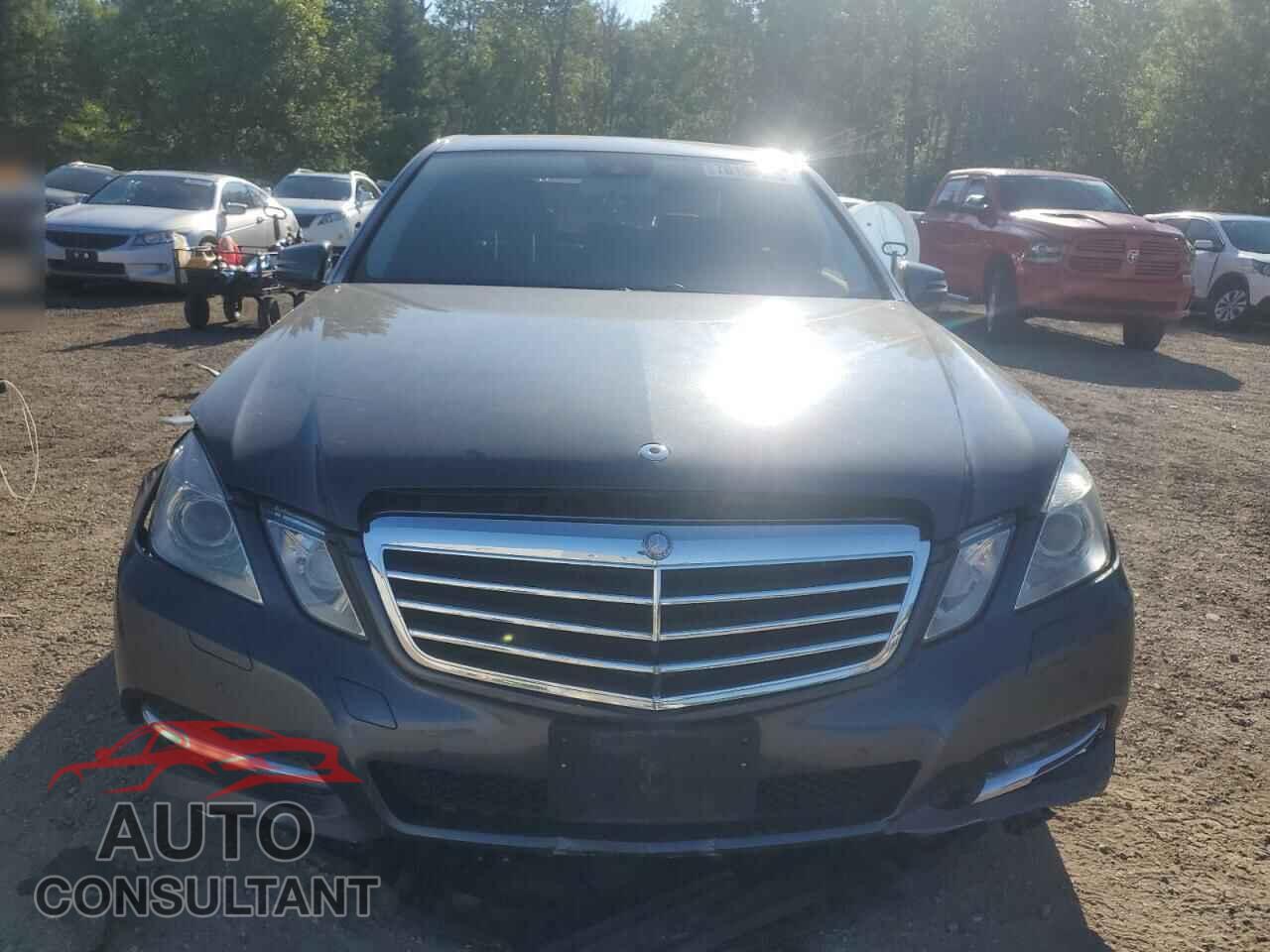 MERCEDES-BENZ E-CLASS 2012 - WDDHF82B4CA616299