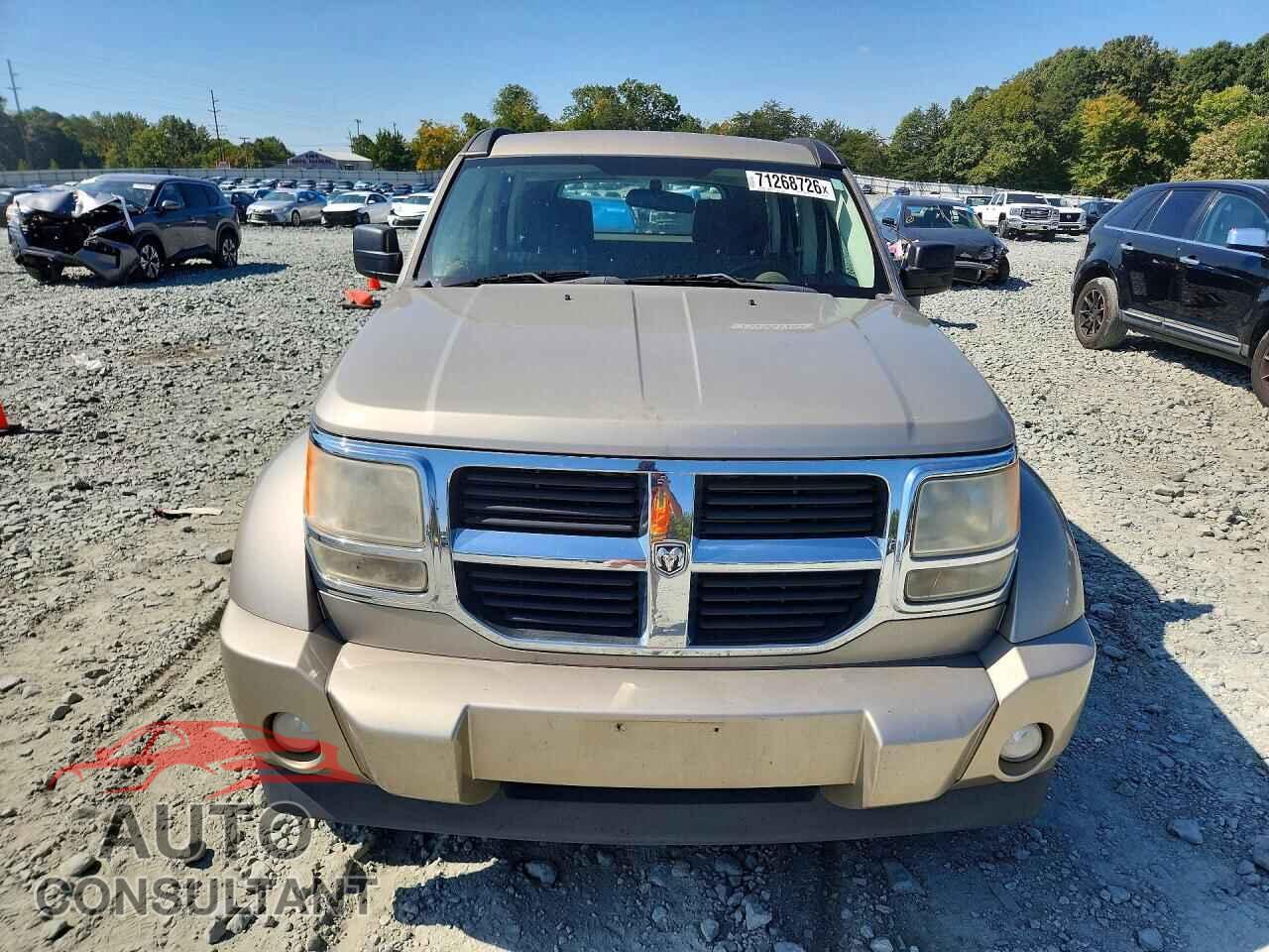 DODGE NITRO 2010 - 1D4PT2GK0AW105096