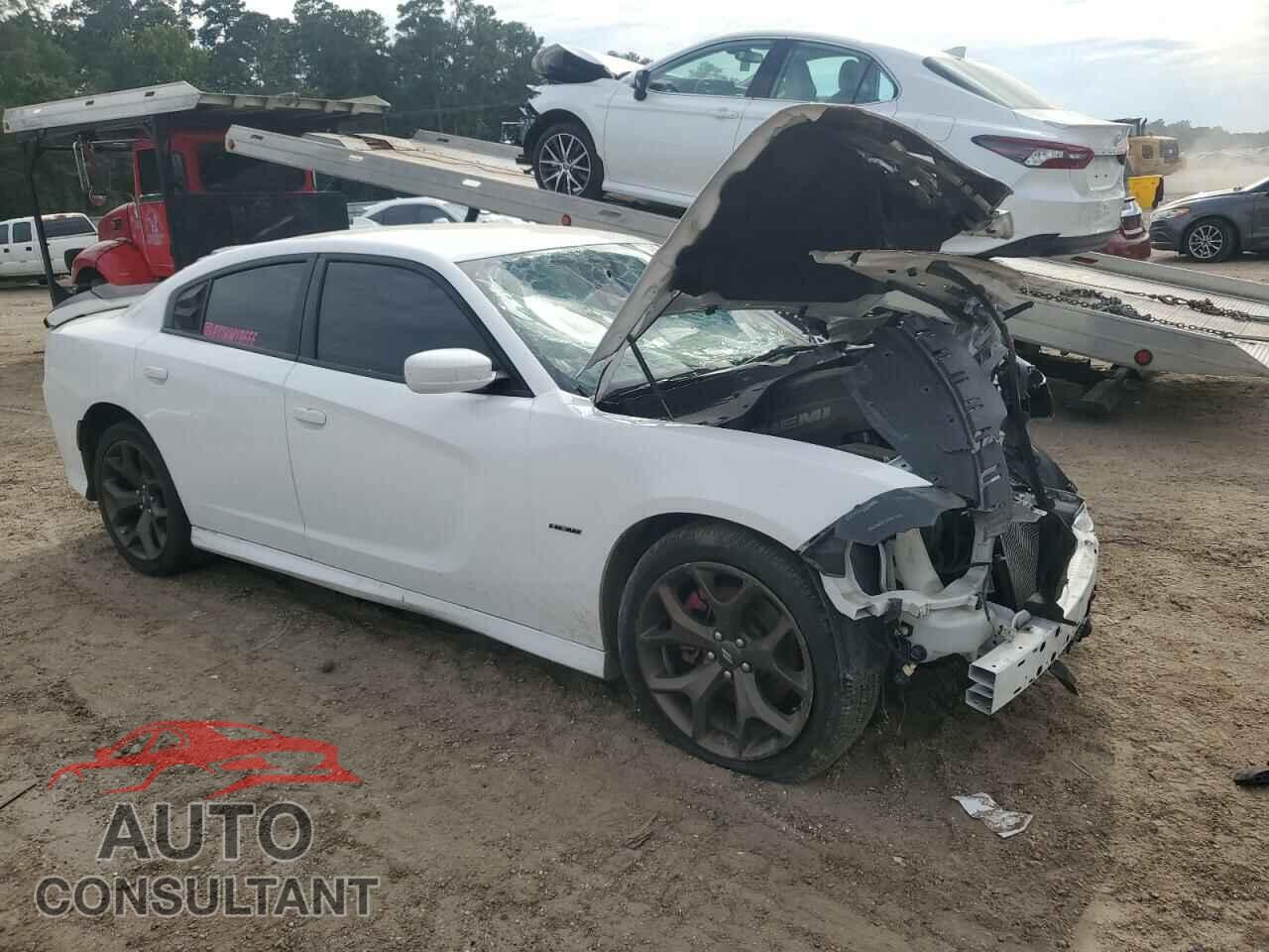 DODGE CHARGER 2019 - 2C3CDXCTXKH675745