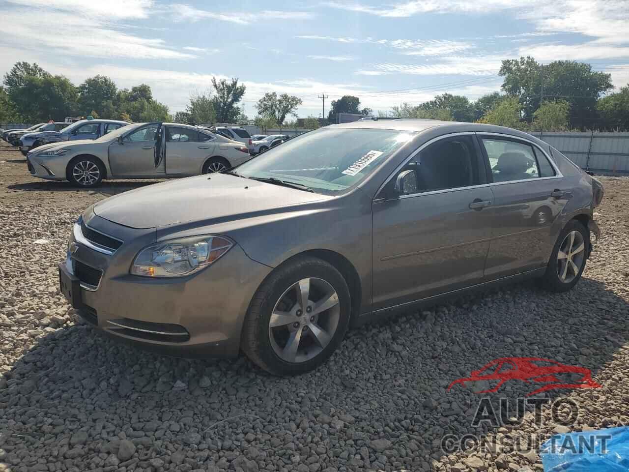 CHEVROLET MALIBU 2011 - 1G1ZC5E11BF130164