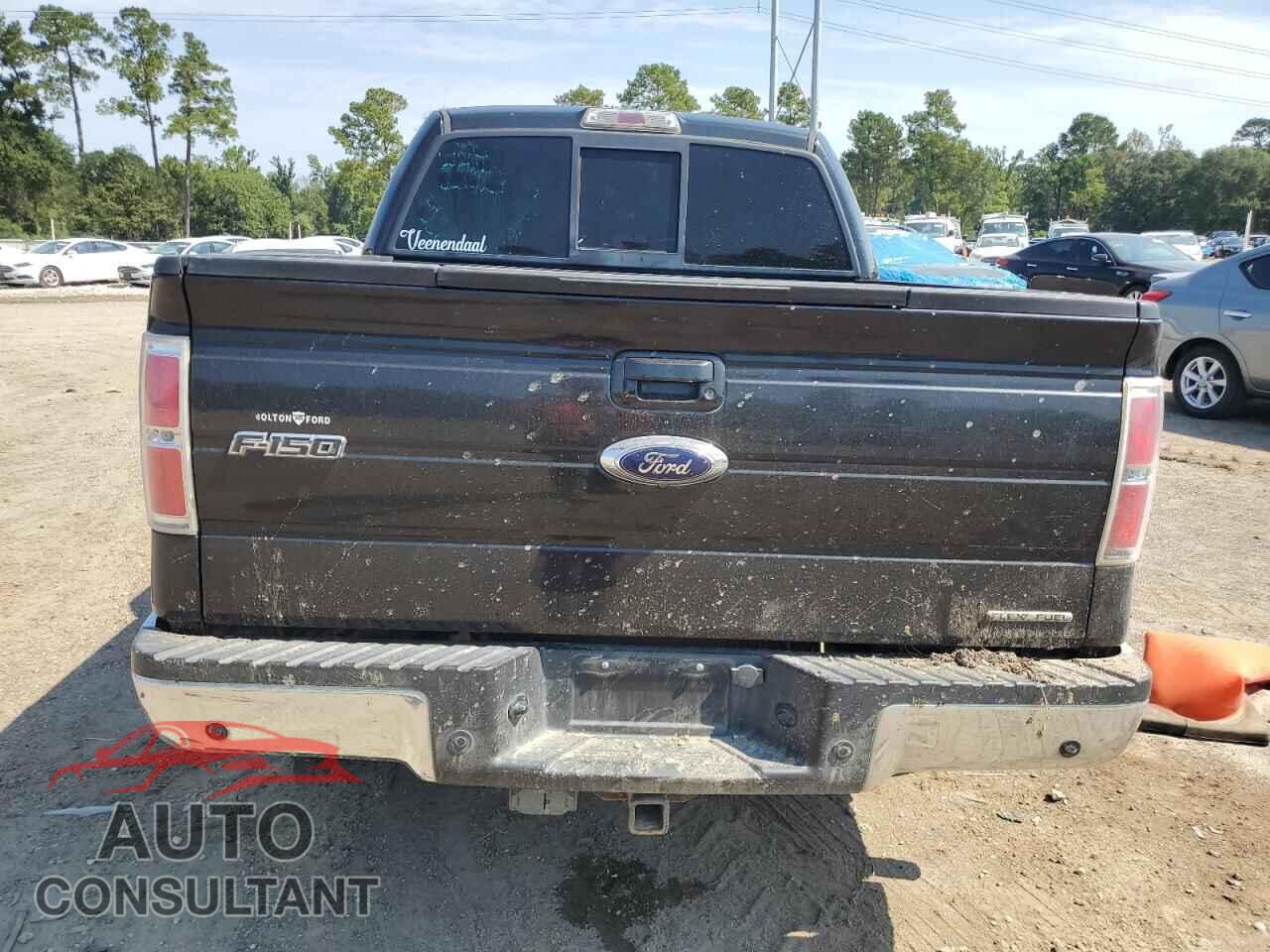 FORD F-150 2012 - 1FTFW1CF8CFA23946
