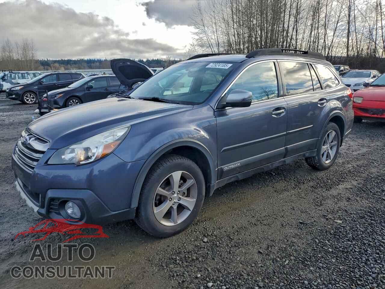 SUBARU OUTBACK 2014 - 4S4BRBPC7E3313445