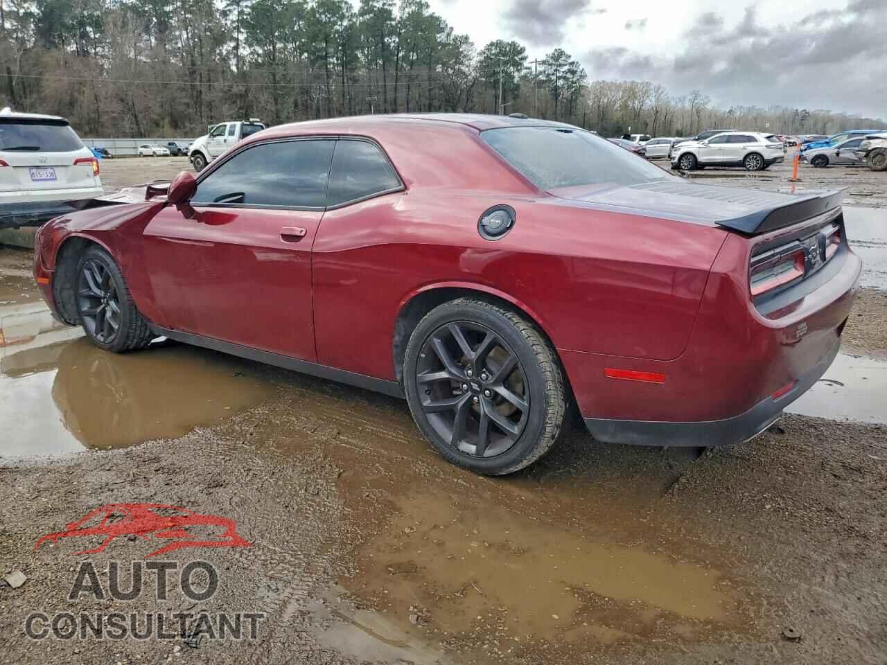 DODGE CHALLENGER 2019 - 2C3CDZAGXKH503765