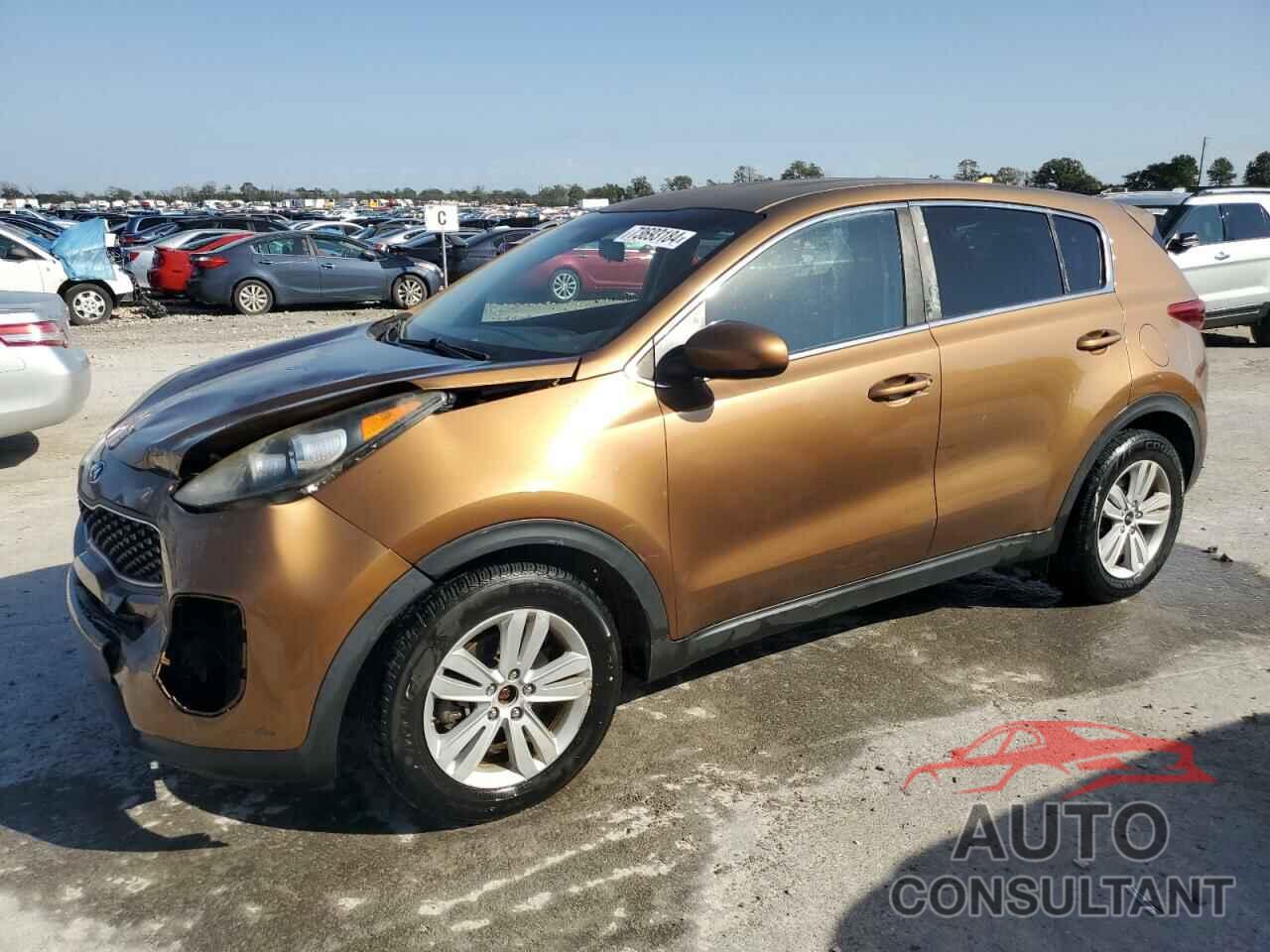 KIA SPORTAGE 2017 - KNDPM3AC9H7068149