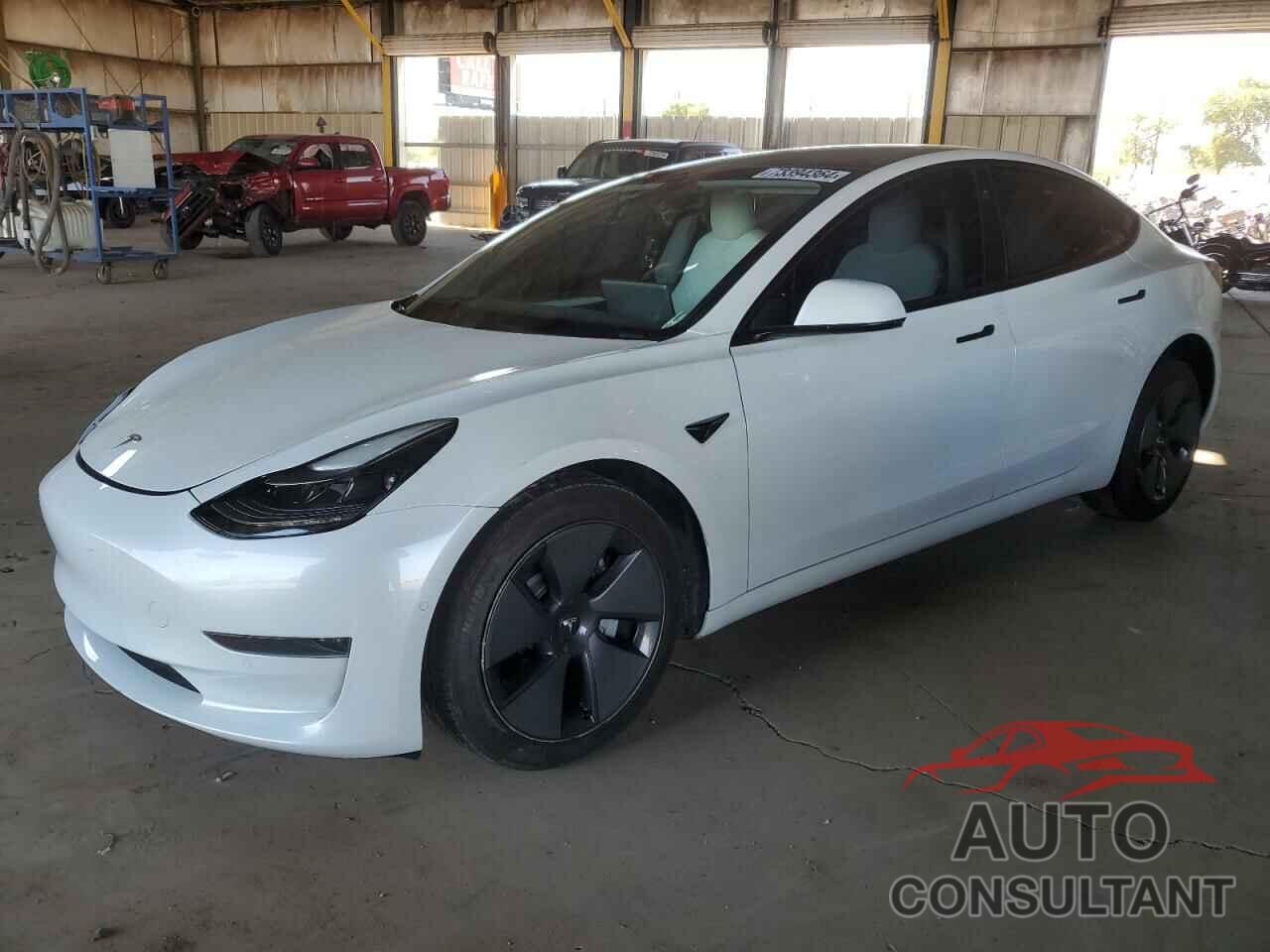 TESLA MODEL 3 2021 - 5YJ3E1EA5MF053841