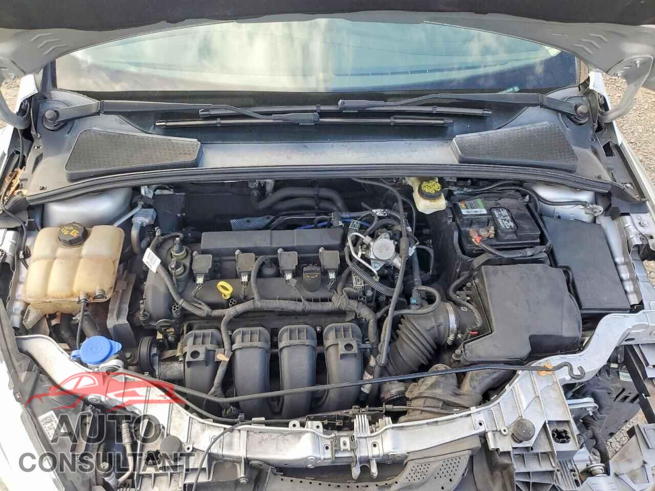 FORD FOCUS 2017 - 1FADP3E25HL256580