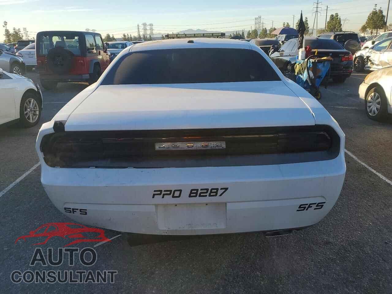 DODGE CHALLENGER 2013 - 2C3CDYAGXDH663321