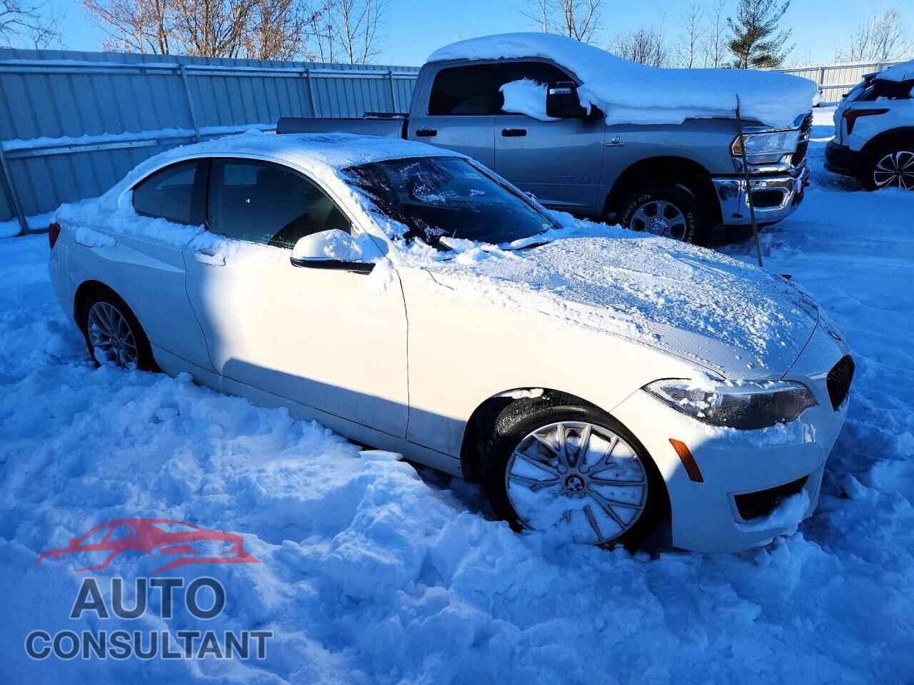 BMW 2 SERIES 2014 - WBA1F5C56EVV99226