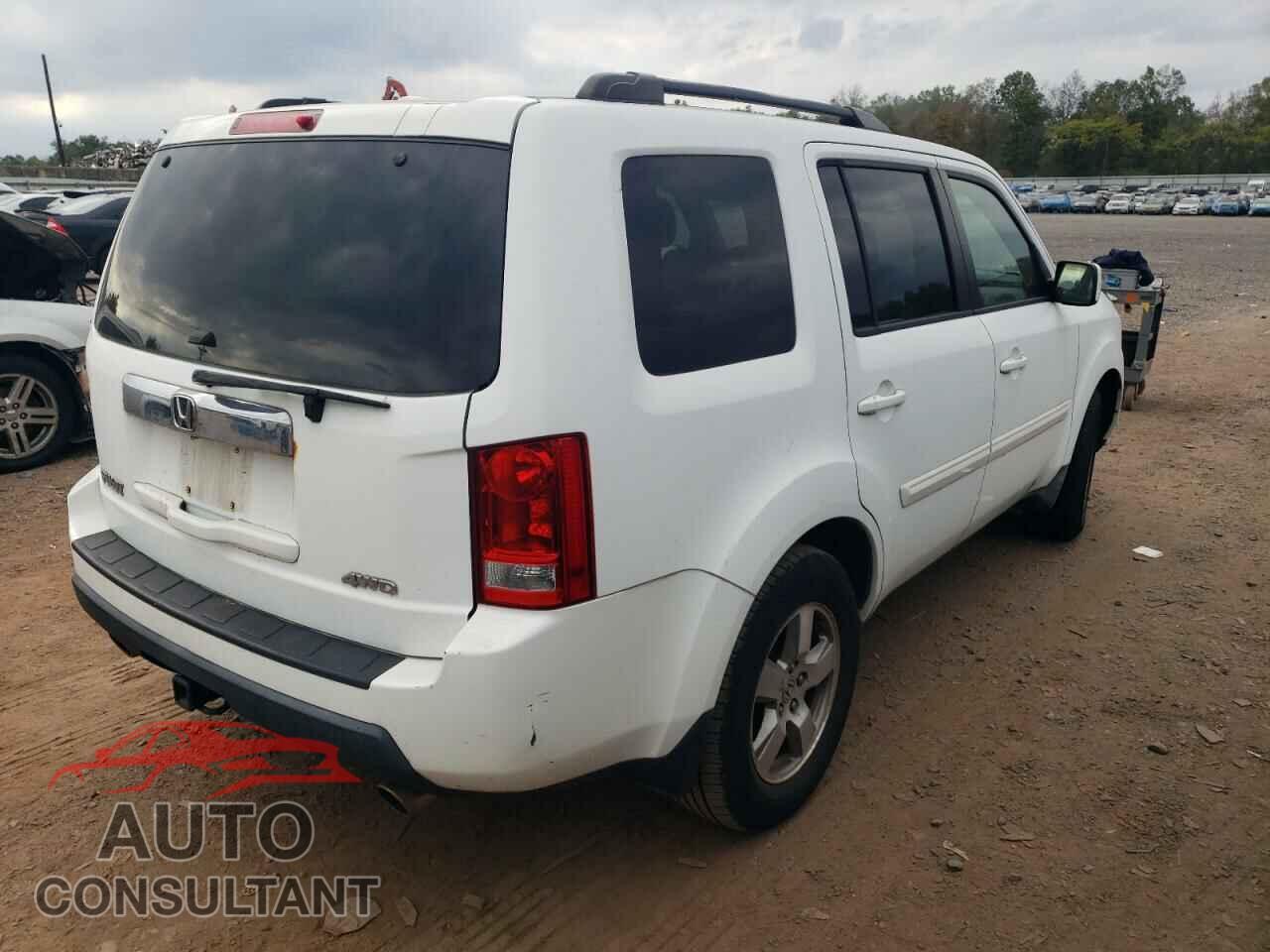 HONDA PILOT 2009 - 5FNYF48519B022886