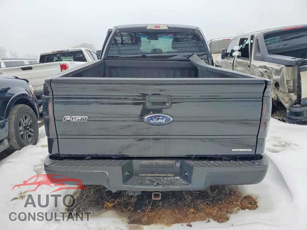 FORD F-150 2014 - 1FTFX1EF2EFA72878