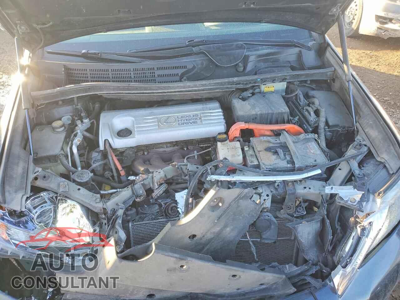 LEXUS HS 2010 - JTHBB1BA6A2025116