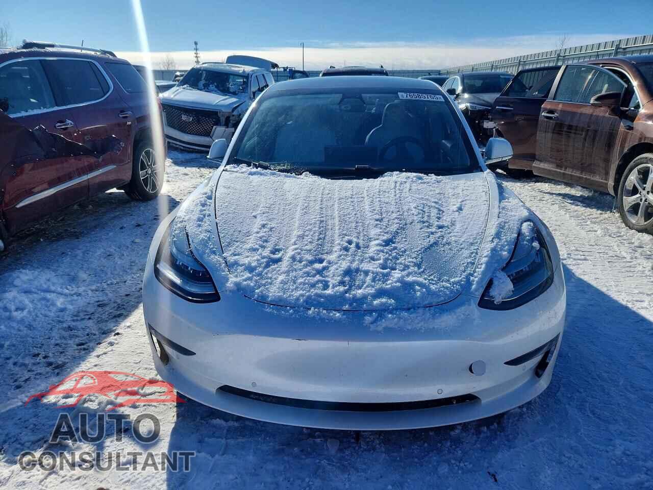 TESLA MODEL 3 2020 - 5YJ3E1EB2LF619736