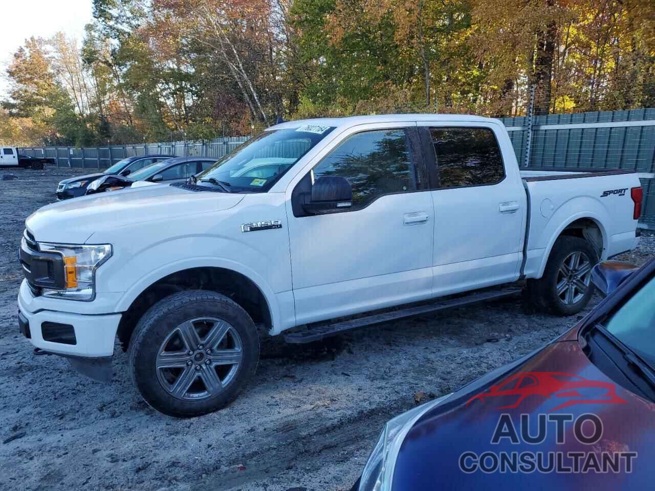 FORD F-150 2019 - 1FTEW1E45KFA03241