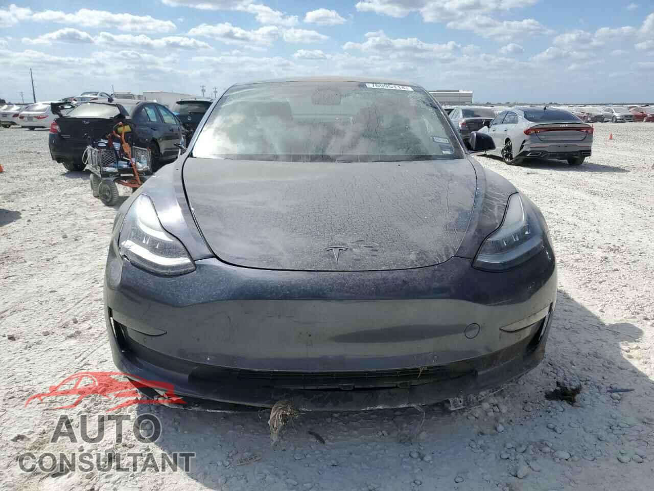 TESLA MODEL 3 2019 - 5YJ3E1EA0KF480227