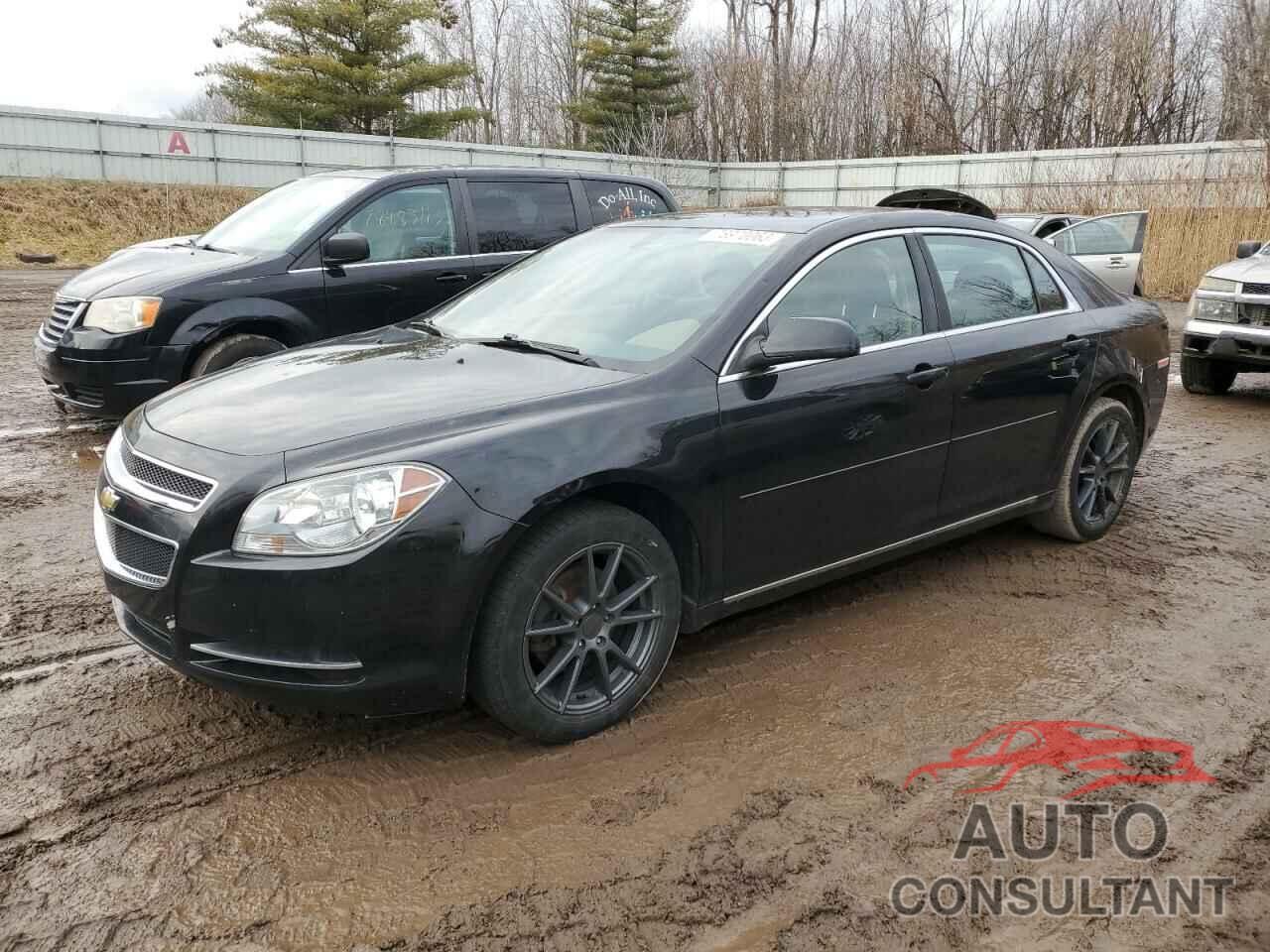 CHEVROLET MALIBU 2011 - 1G1ZC5E13BF314781