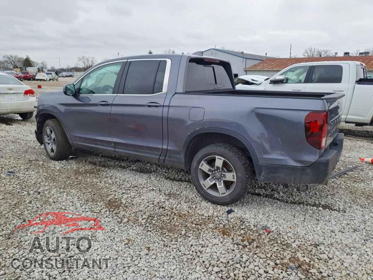 HONDA RIDGELINE 2024 - 5FPYK3F51RB018434