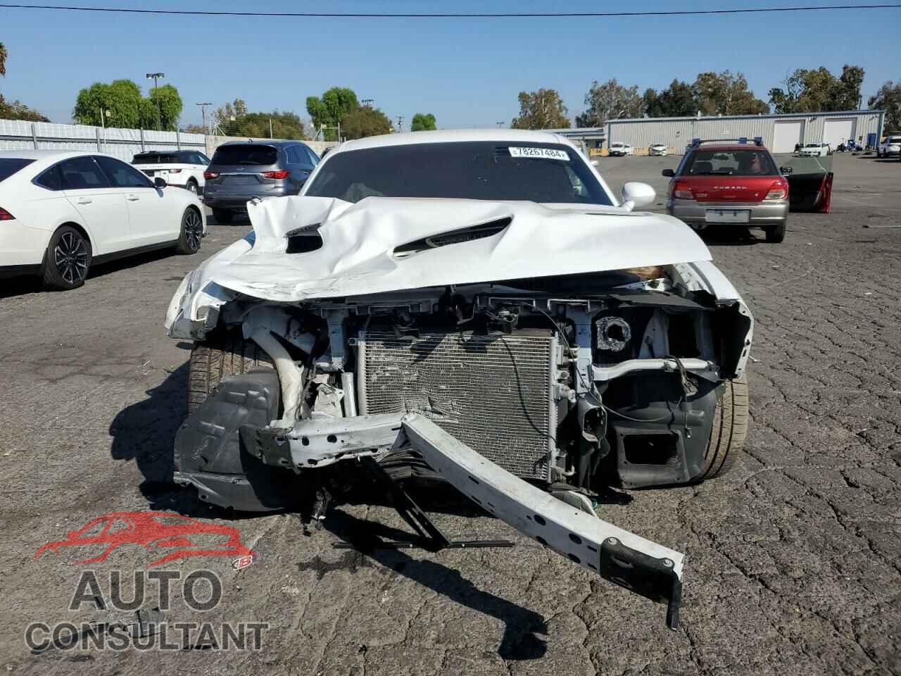 DODGE CHALLENGER 2019 - 2C3CDZFJ2KH533959