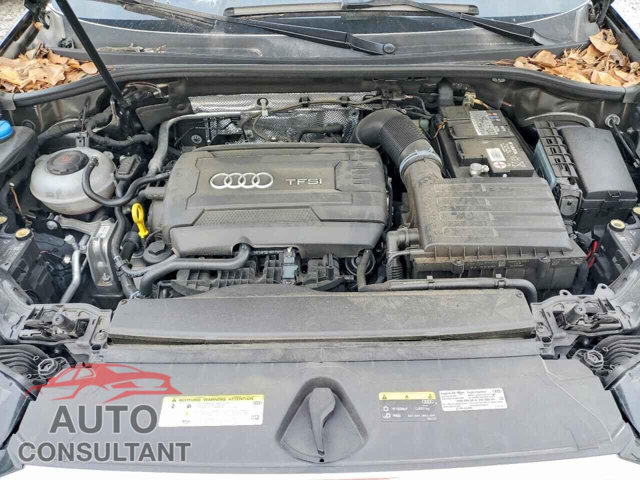 AUDI Q3 2019 - WA1BECF32K1069910