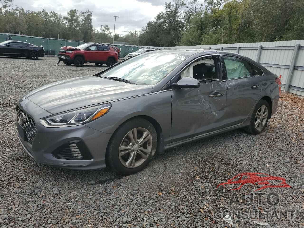 HYUNDAI SONATA 2019 - 5NPE34AF6KH732839