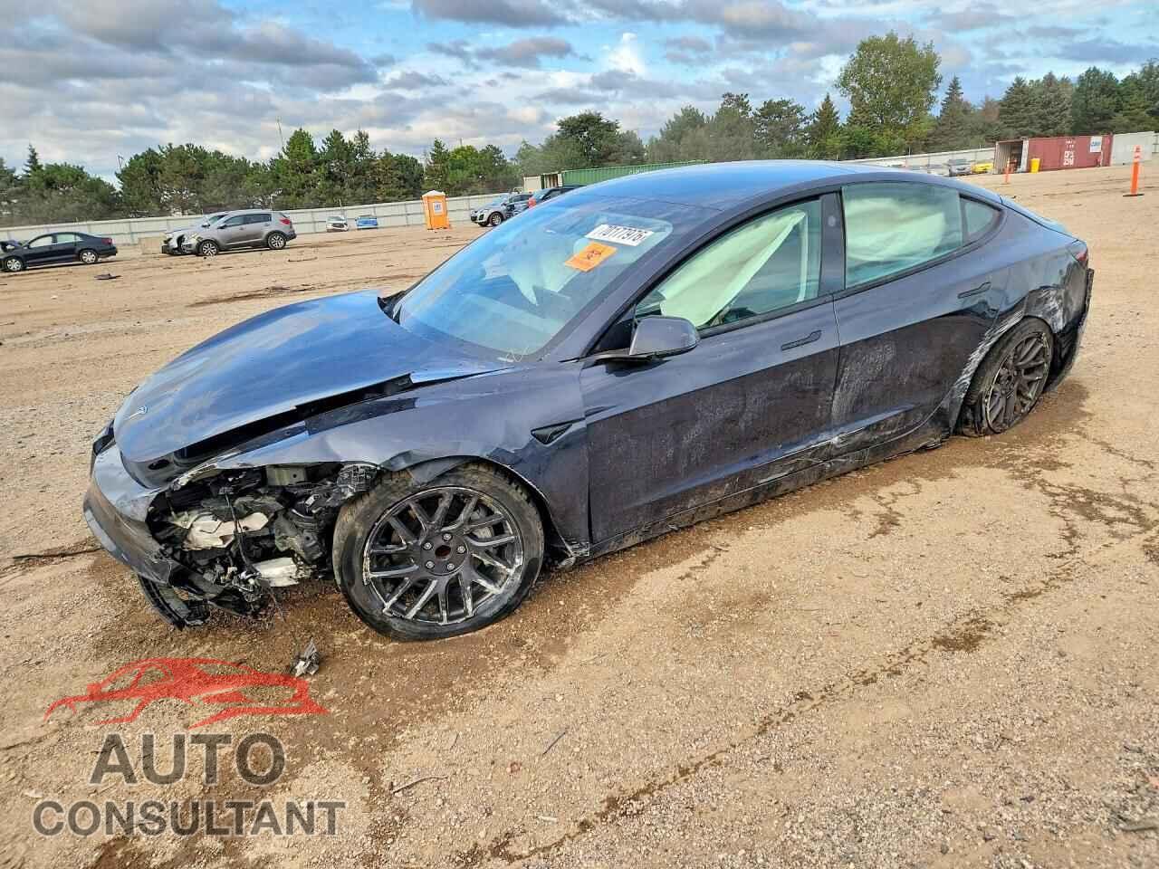 TESLA MODEL 3 2025 - 5YJ3E1EA3SF917007
