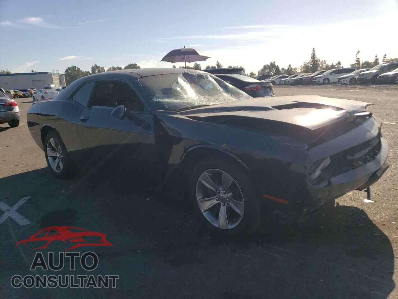 DODGE CHALLENGER 2019 - 2C3CDZAG9KH669792