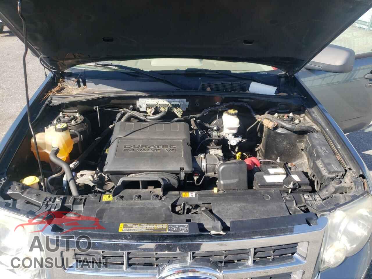 FORD ESCAPE 2010 - 1FMCU0DG7AKB21585