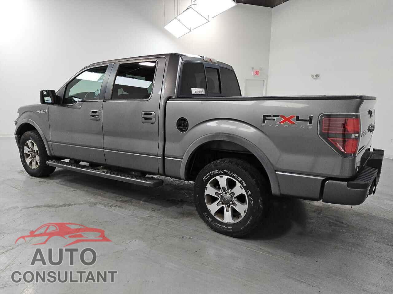 FORD F-150 2011 - 1FTFW1EF1BFB94825