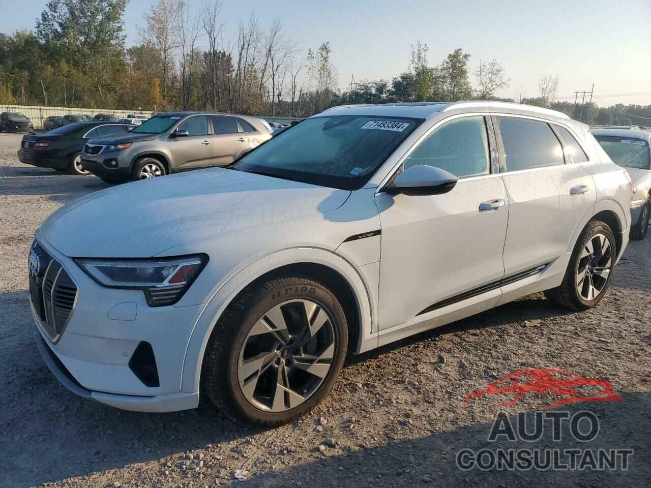 AUDI E-TRON 2022 - WA1AAAGE3NB004171