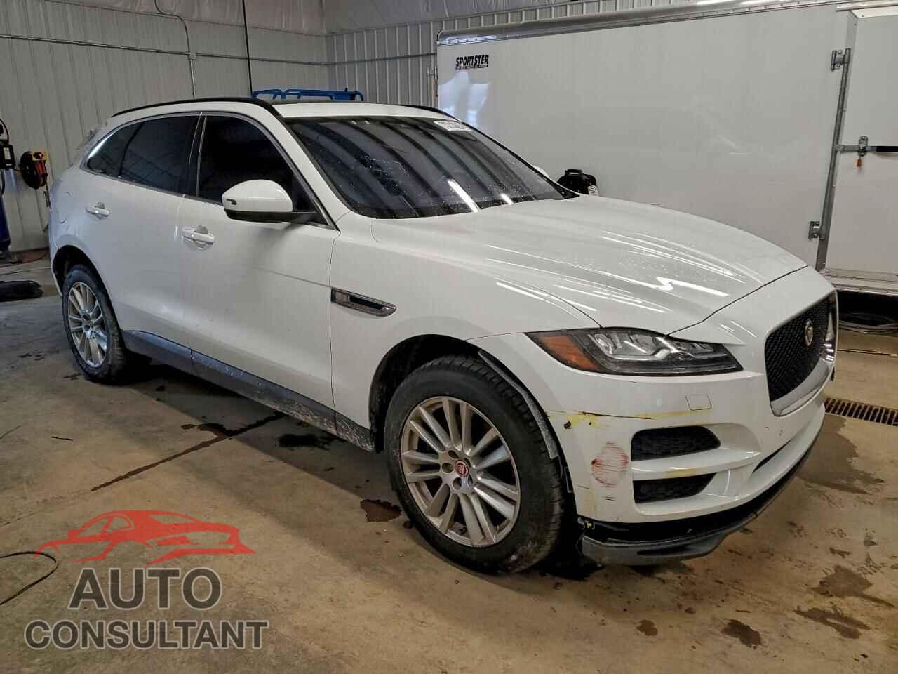 JAGUAR F-PACE 2017 - SADCK2BV8HA895811