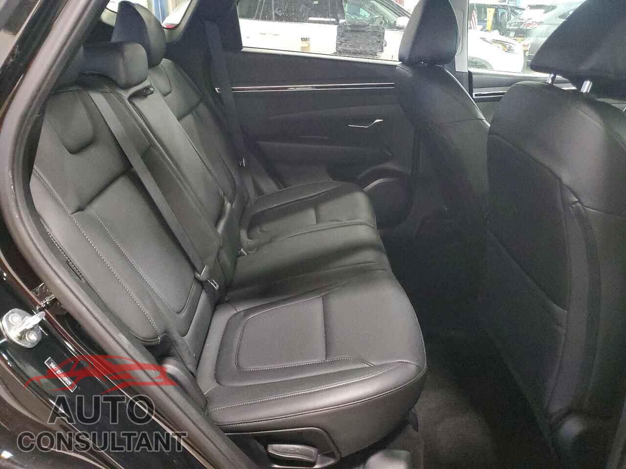 HYUNDAI TUCSON 2024 - 5NMJF3DE6RH395129