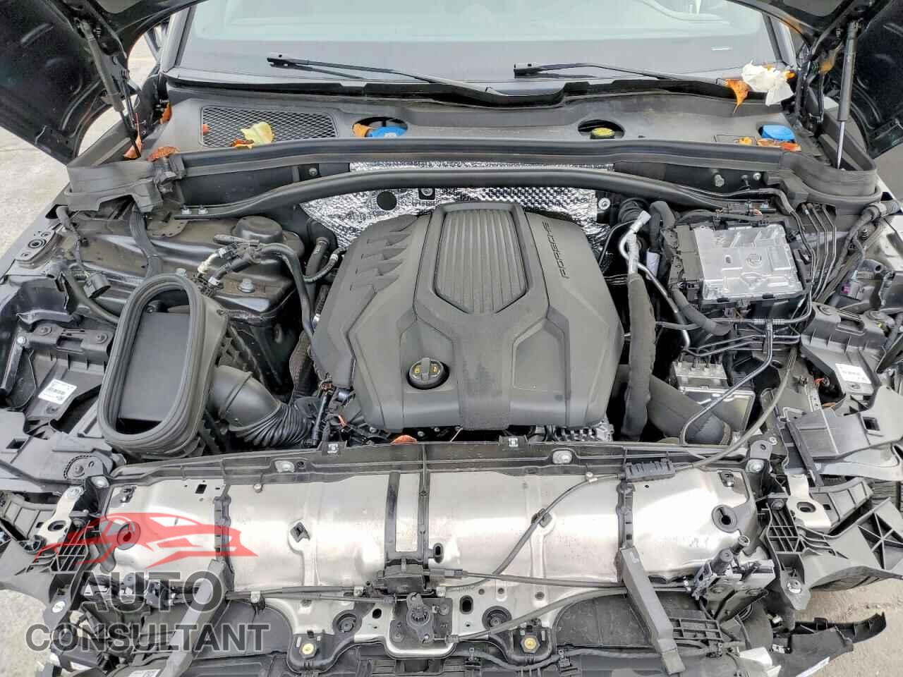PORSCHE MACAN BASE 2024 - WP1AA2A50RLB15439