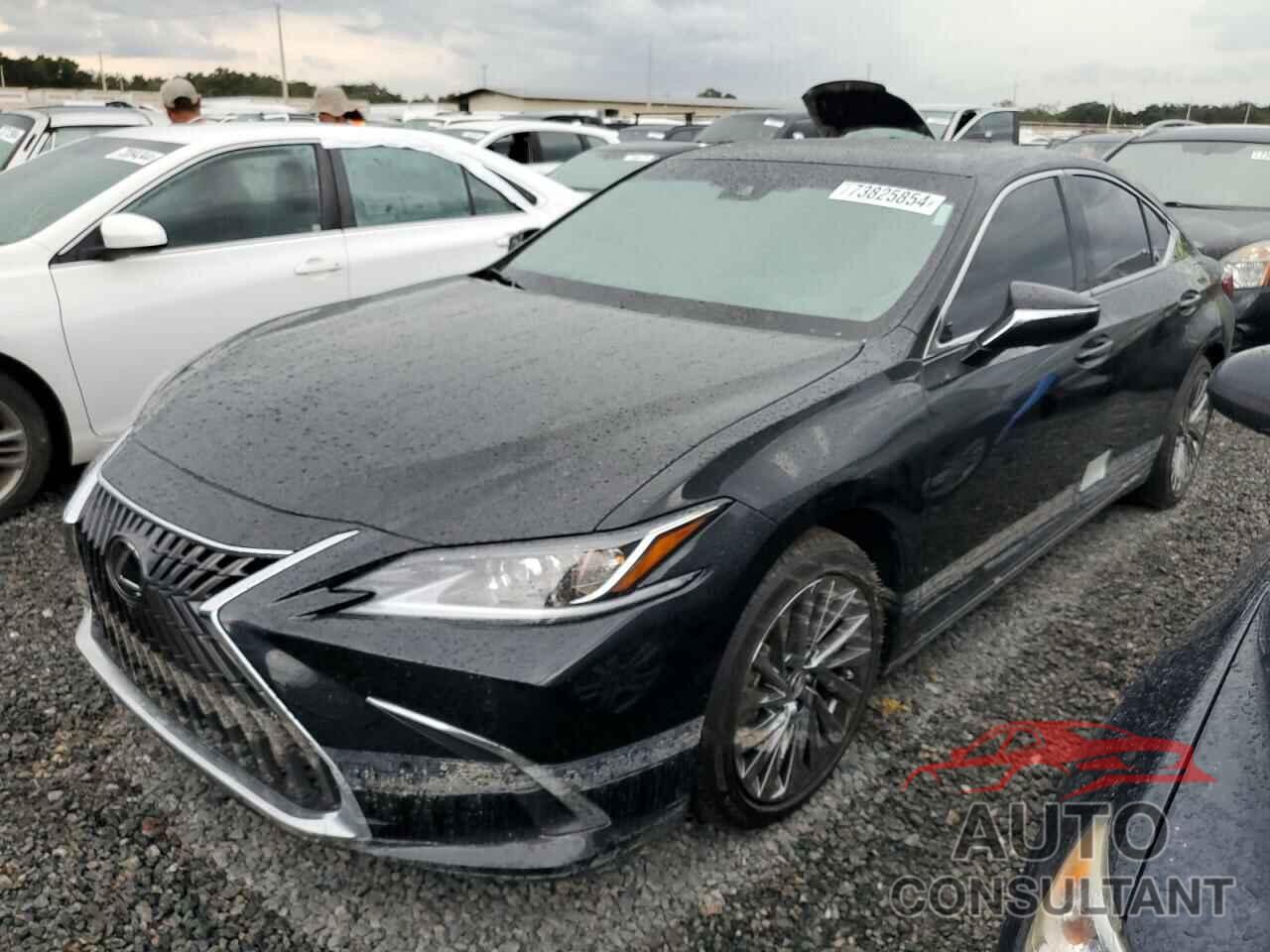 LEXUS ES300 2024 - 58AEA1C10RU047262