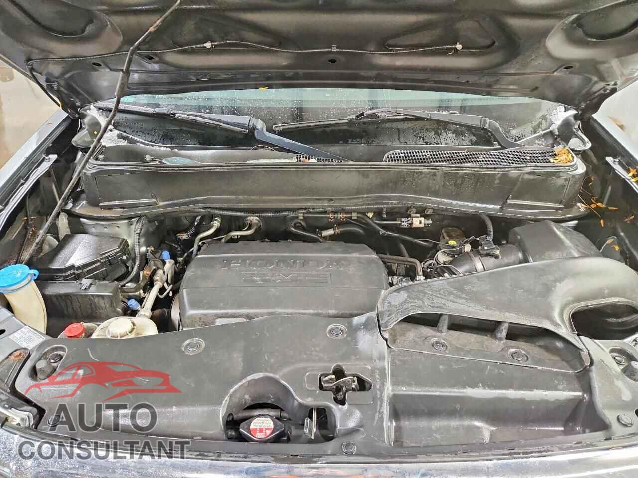 HONDA PILOT 2011 - 5FNYF4H59BB093226