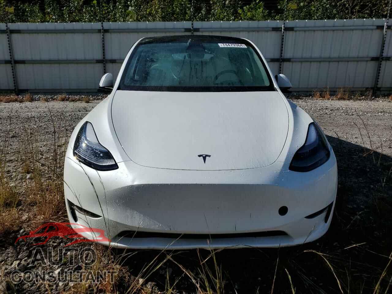 TESLA MODEL Y 2024 - 7SAYGDEE7RF993704