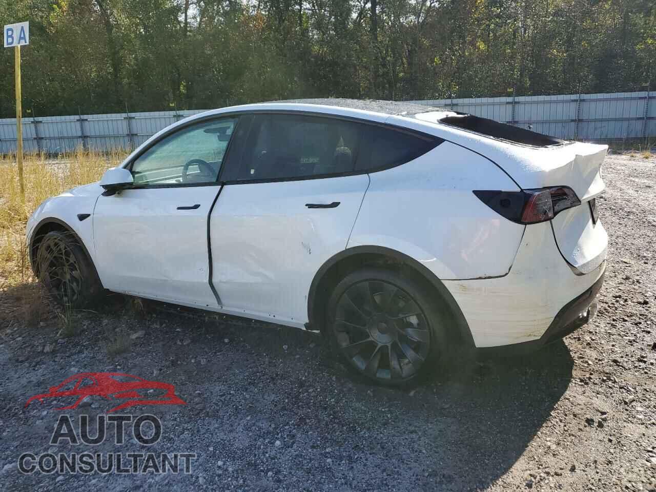 TESLA MODEL Y 2024 - 7SAYGDEE7RF993704