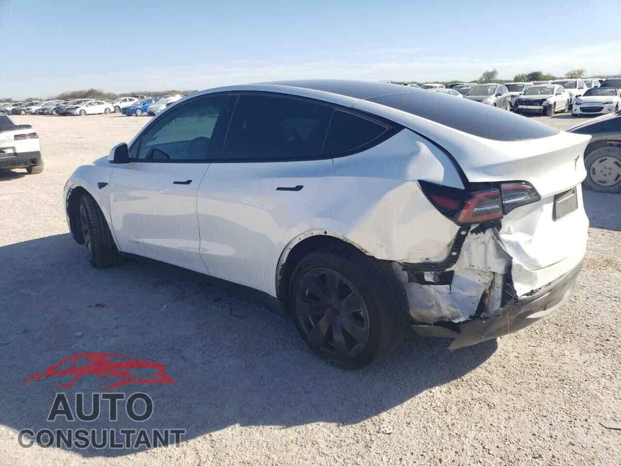 TESLA MODEL Y 2022 - 7SAYGAEE4NF378469