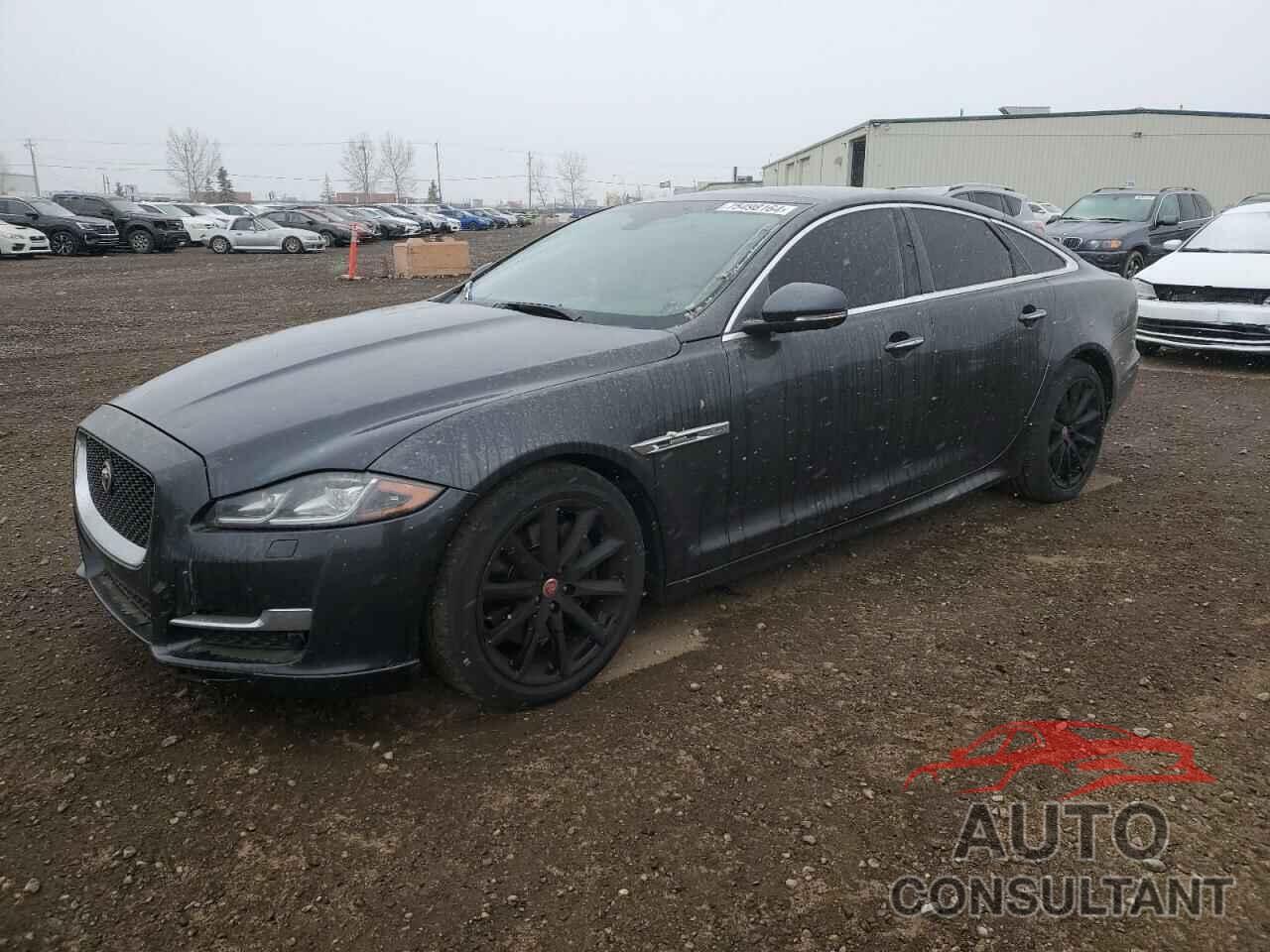 JAGUAR XJ 2016 - SAJXJ1CD0G8V96546