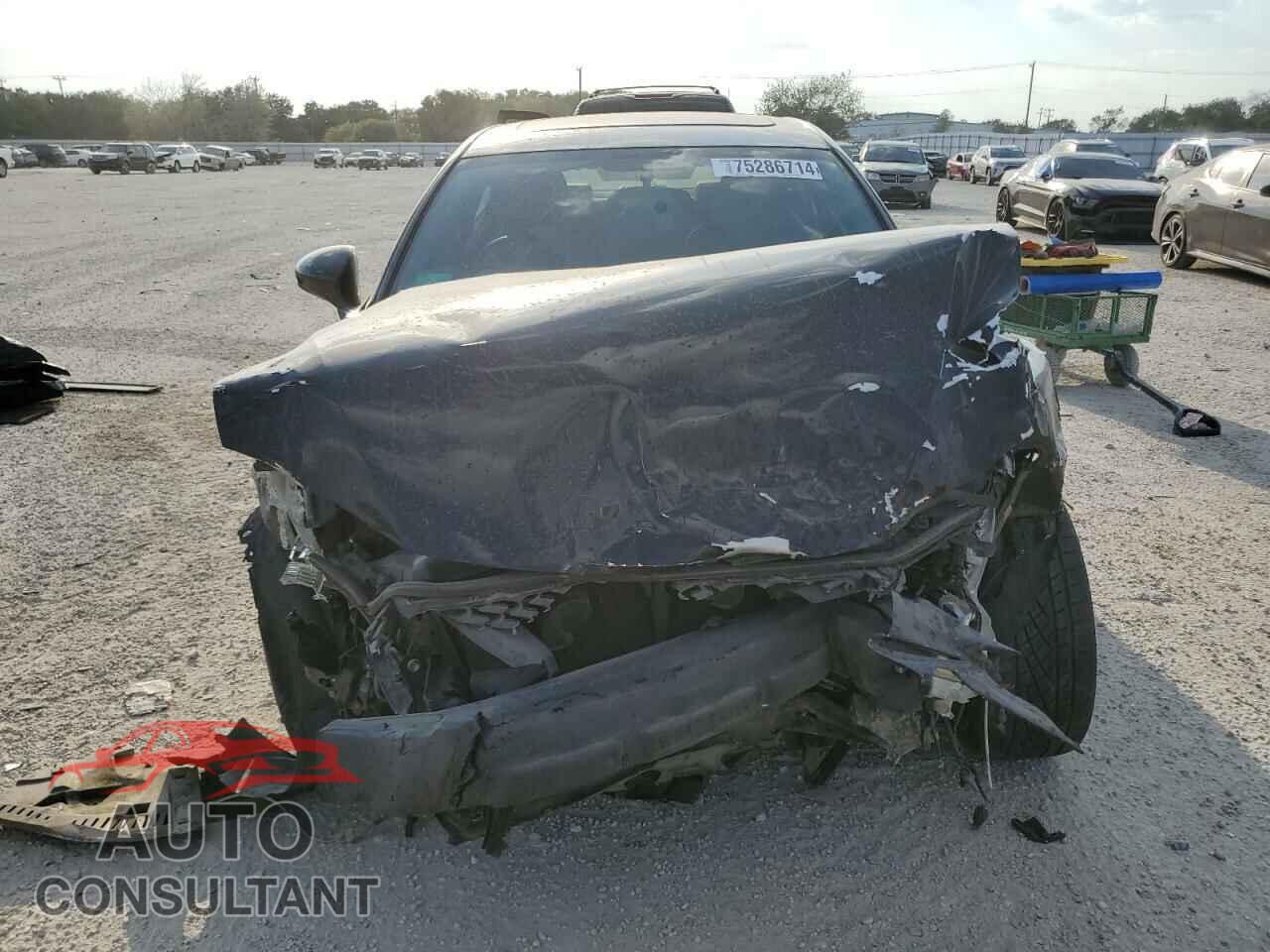 LEXUS IS 2015 - JTHBF1D27F5077029