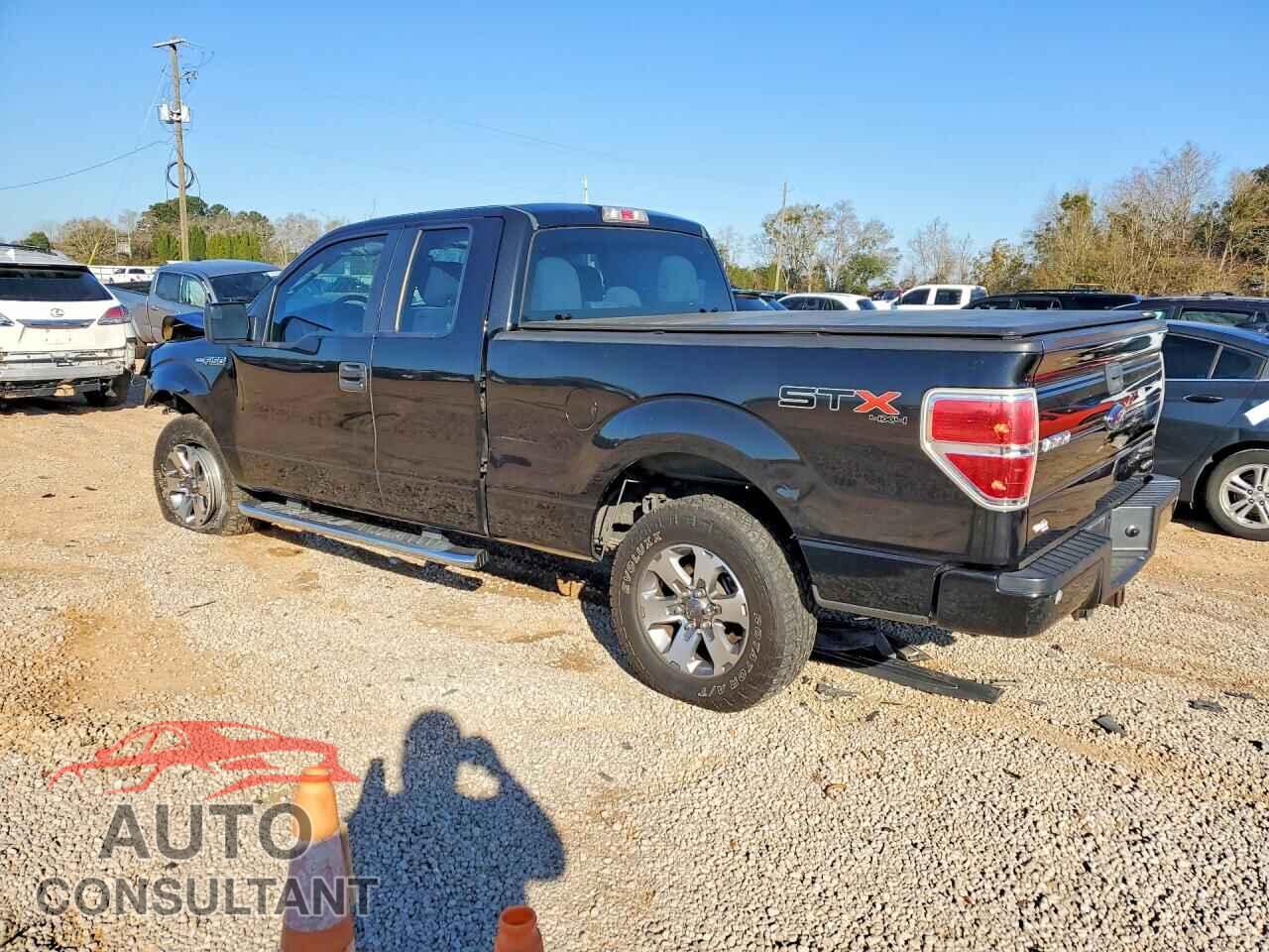 FORD F-150 2013 - 1FTEX1EM3DFE00351