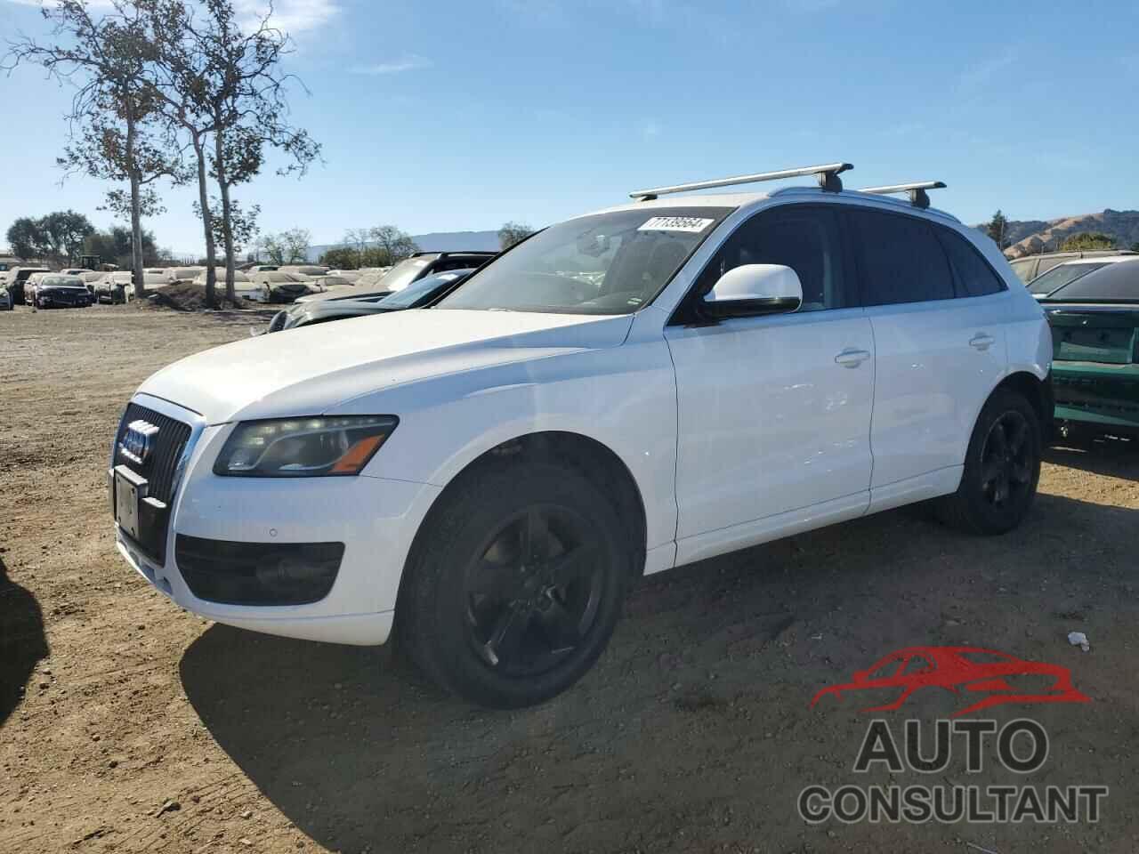 AUDI Q5 2011 - WA1LFAFP0BA028457