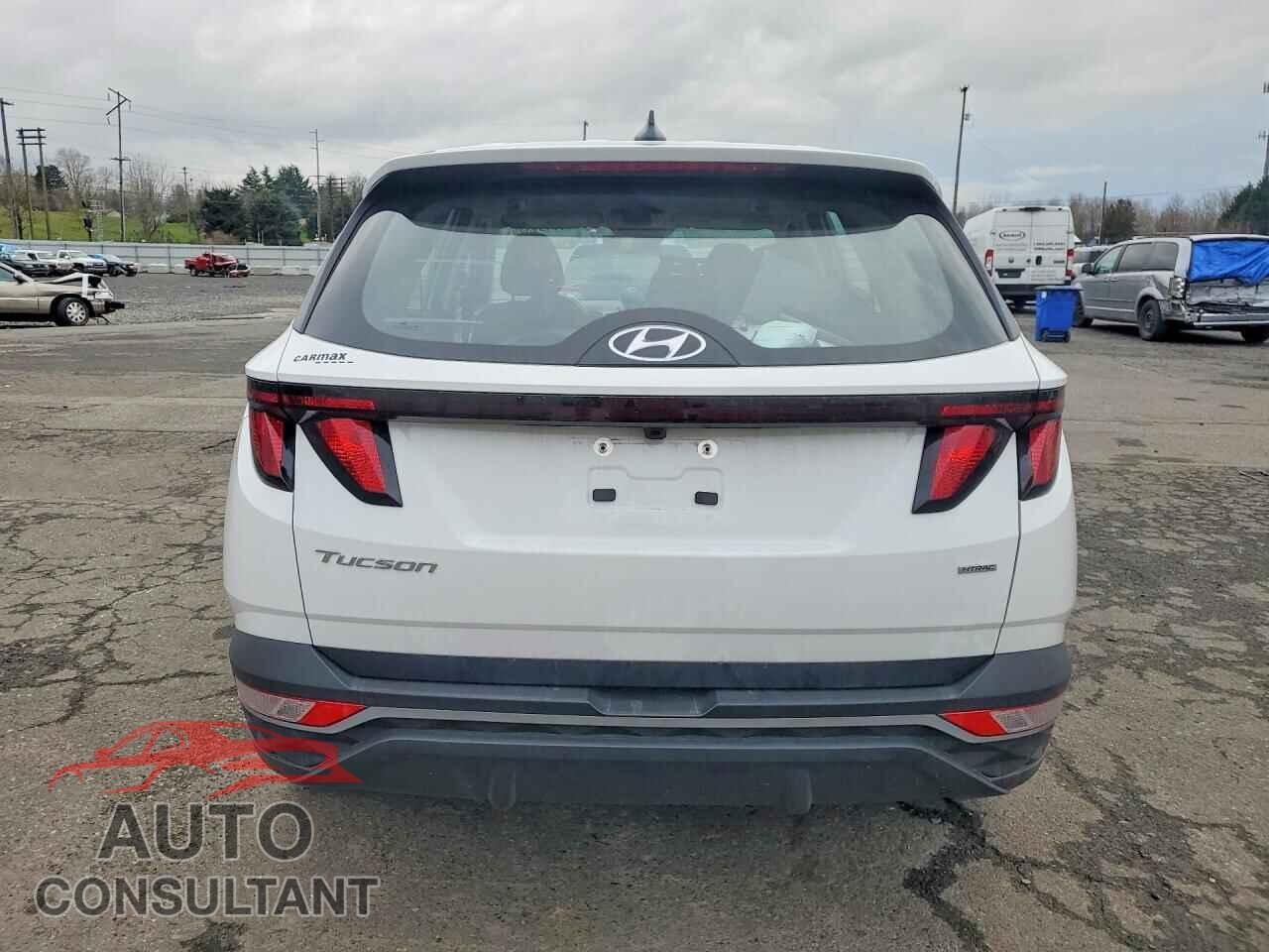 HYUNDAI TUCSON 2024 - 5NMJACDE9RH395995
