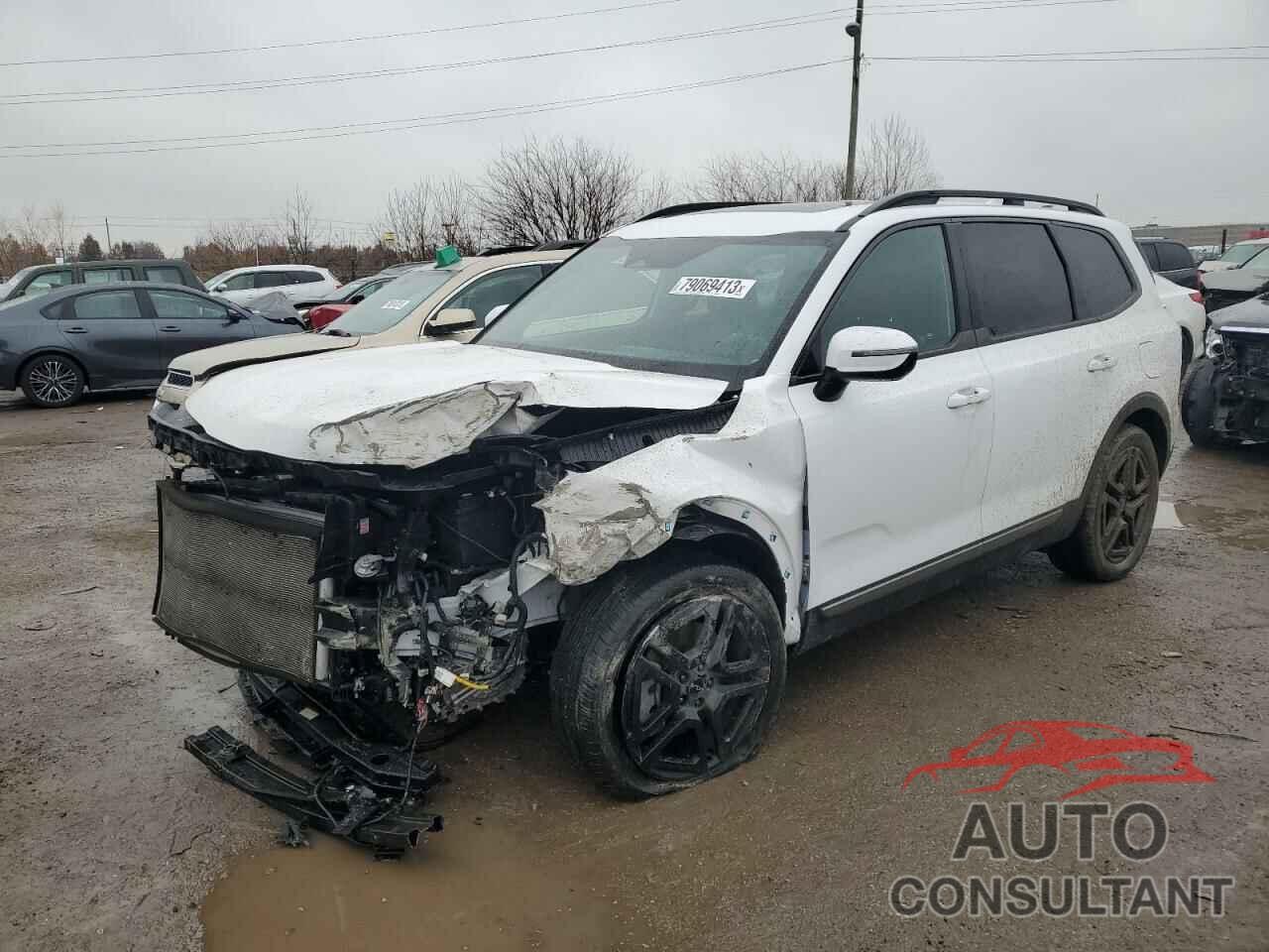 KIA TELLURIDE 2023 - 5XYP5DGC4PG373134