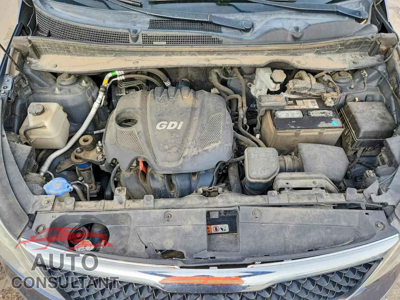 KIA SPORTAGE 2014 - KNDPBCAC4E7559634
