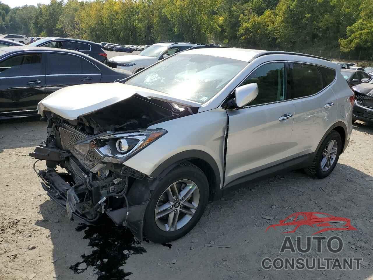 HYUNDAI SANTA FE 2017 - 5XYZUDLB7HG489406