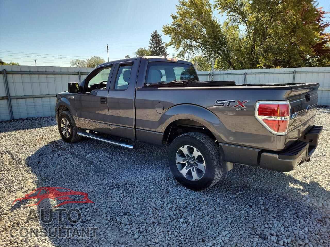 FORD F150 2014 - 1FTFX1EF7EFC81842